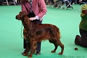 Crufts2011 202